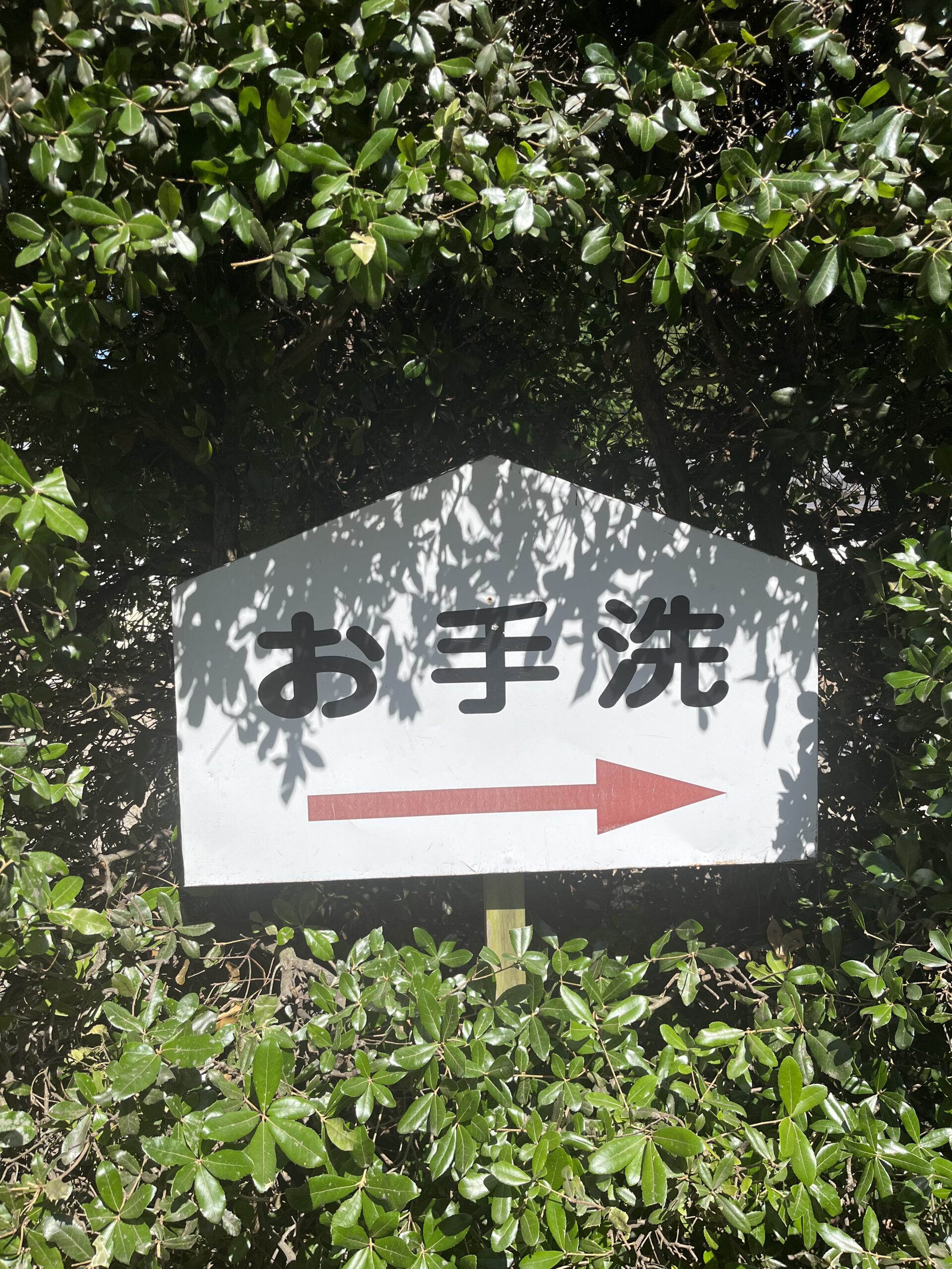 Sign in Japanese with an error pointing to the toilet.