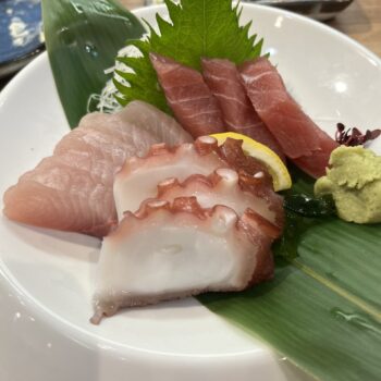 Dish of three types of sashimi, raw fish including white tuna, red tuna and octopus.