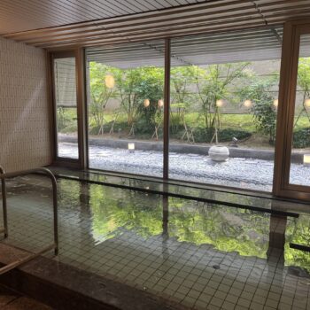 Japanese bath - Onsen with view of exterior garden.