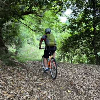Cyclist riding on mountain road covered in fall leaves between a canopy of green foliage.