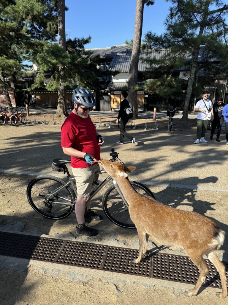 Feeding the deer on a bike
